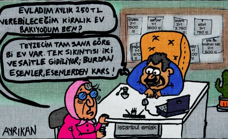 Emlakçı Karikatürleri