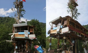 Rizeliden ağacın tepesine arı evi