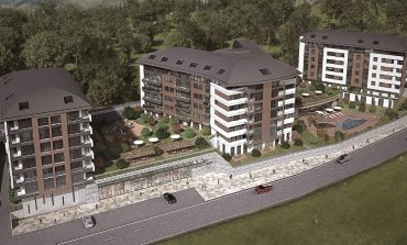 Terrace Koru
