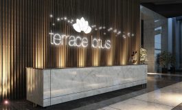 Terrace Lotus