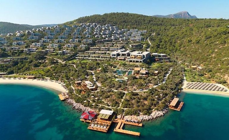 Bodrum Mandarin’de domuz paniği!