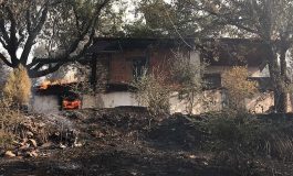 Muğla'daki orman yangınında 30 ev zarar gördü