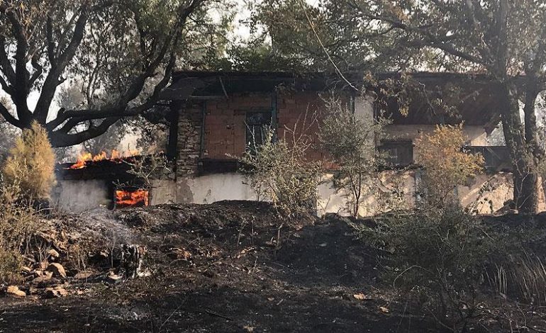 Muğla’daki orman yangınında 30 ev zarar gördü