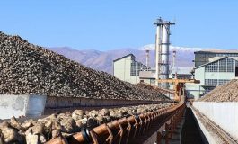 Şeker Fabrikalarına Ait 21 Dönüm Arazi Satılıyor