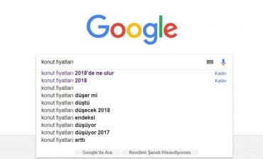 Google aramasına yansıya konut fiyatları ilgisi