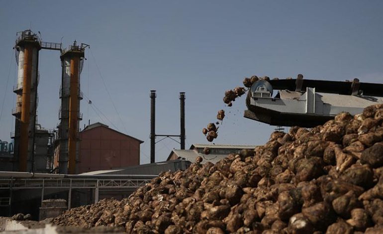 Turhal, Erzurum ve Ilgın Şeker Fabrikalarının Özelleştirmesi Yapıldı