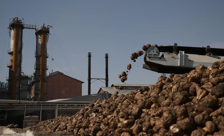 Afyon, Burdur ve Elbistan şeker fabrikalarının özelleştirilmesi ihaleleri yapıldı