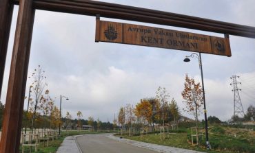 "Uluslararası Kent Ormanı” Eyüpsultan'da açılıyor