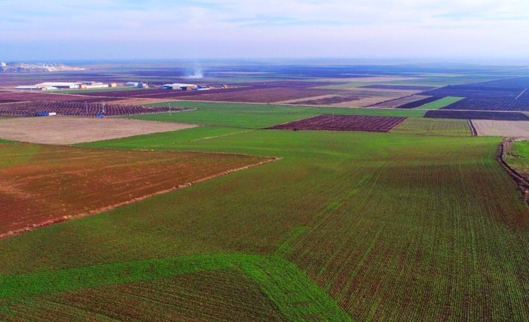 TEMA Vakfı’ndan Alpu Kömürlü Termik Santral Projesi açıklaması