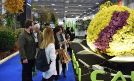 Süs bitkileri ve peyzaj sektörü Flower Show İstanbul'da buluşuyor!