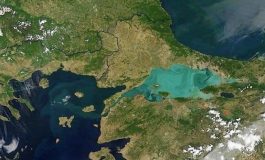 TEMA Vakfı: Kanal İstanbul Projesi’nin riskleri ve muhtemel sonuçları toplumla paylaşılmalı