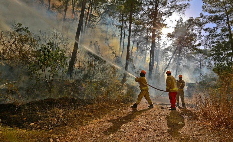 OGM Kamuoyu Duyurusu: Orman Yangınlarına Dikkat