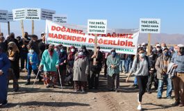 Doğa savunucuları için Birleşmiş Milletler’e başvuru rehberi yayımlandı