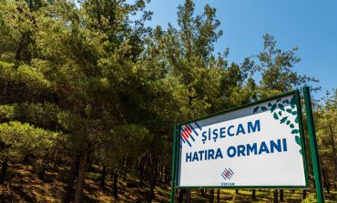 YATAĞAN’DA 400 DÖNÜMLÜK ŞİŞECAM HATIRA ORMANI