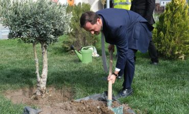 Kalyon Holding’ten rekor fidan dikimi 