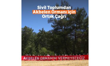 Akbelen Ormanı’nın korunması için sivil toplum kuruluşlarından ortak çağrı!