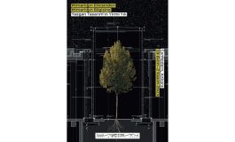 “Mimarlığın Etkisinden Mimarlığın Bilgisine / Yazgan Tasarım’ın 20.Yılı” Sergisi