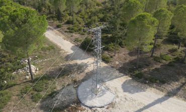 Toroslar EDAŞ’tan orman yangını riskine karşı yeni tedbir