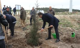 Akfen Holding'den Çanakkale'ye 100 Bin Ağaçlık 100.Yıl Hatıra Ormanı