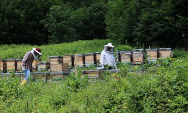 OGM’den Orman Köylüsüne 1,3 Milyar TL Destek