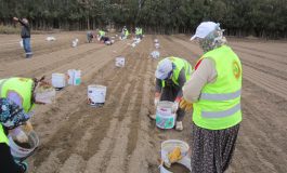 Türkiye’de ormanlar için çalışan 18 bin kadın var