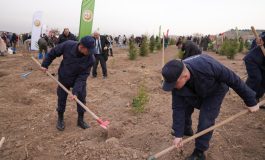 OGM, Milli Ağaçlandırma Günü için tüm hazırlıkları tamamladı