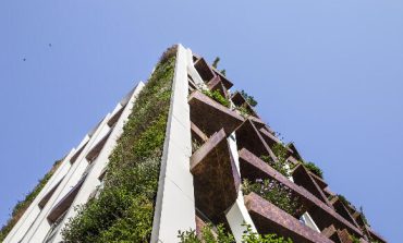 Mental Design Works'ten Doğayla Bütünleşen Bir Tasarım: Greenox