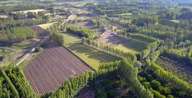 Hazine'ye ait 2/B ve tarım arazileri satışında başvurular 31 Aralık'ta sona erecek